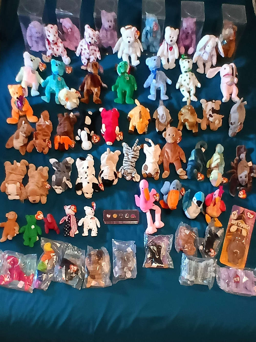 Ty Beanie Babies Multi-Color Plush Lot - Assorted Bright and Pastel Colors